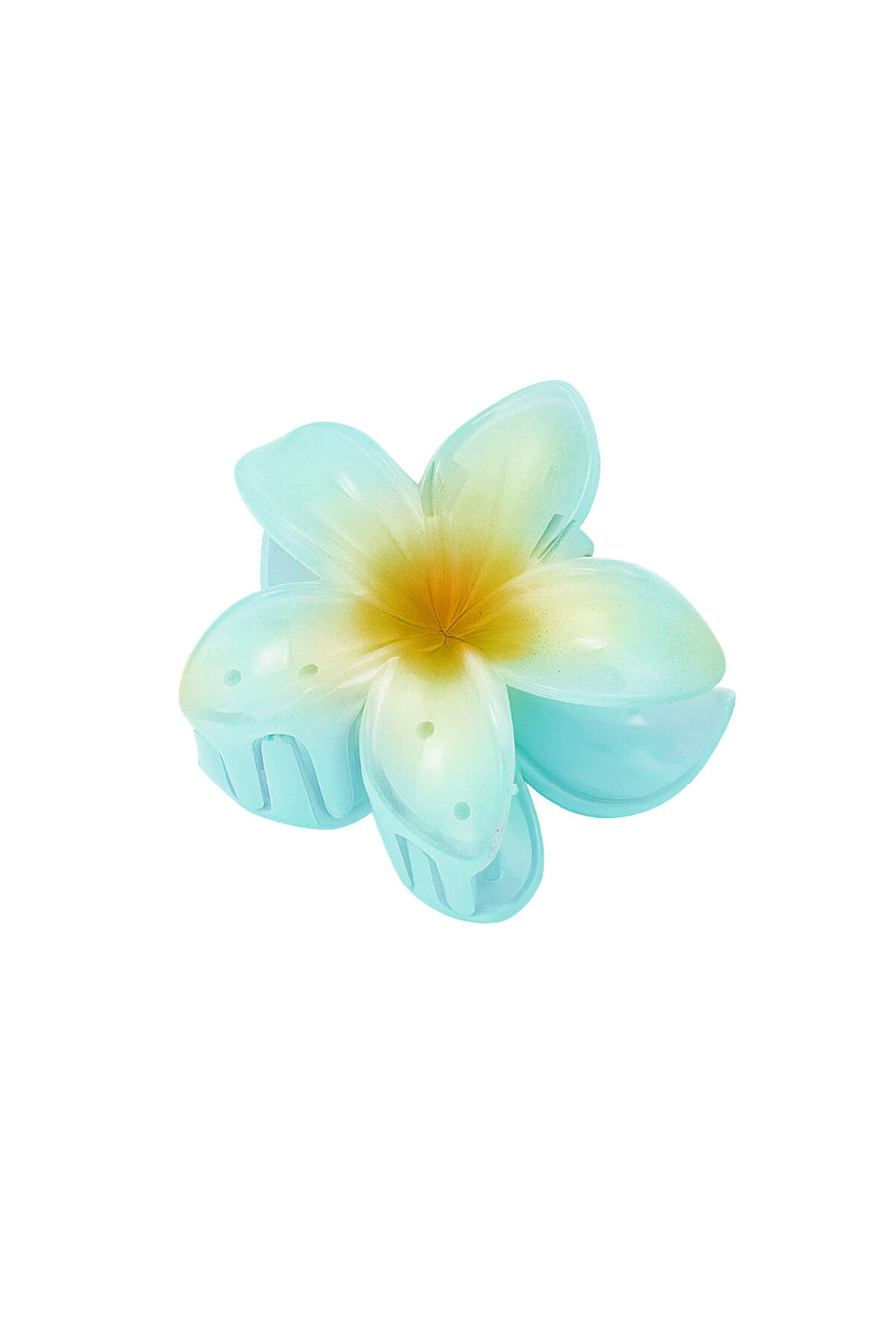 Charming Plastic Flower Hair Clips for Women