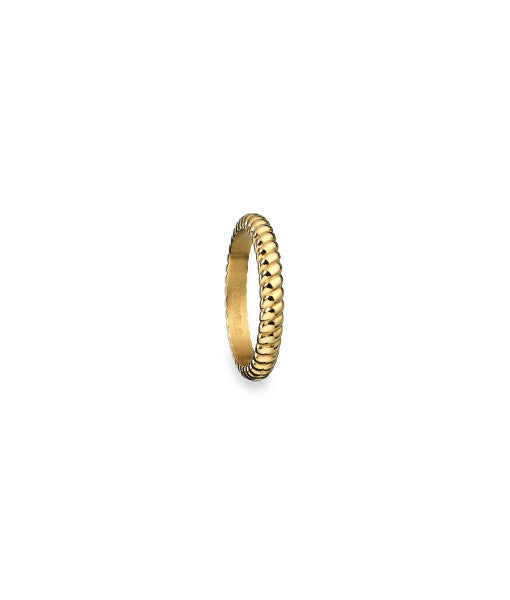 ANJEWELS AR.R1NS03Y-8 — imagen oficial del fabricante