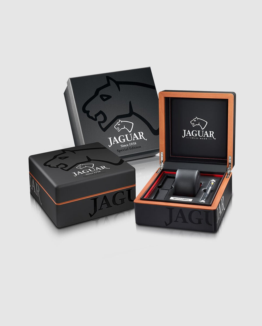 Jaguar Special Edition J691/2 vista alternativa